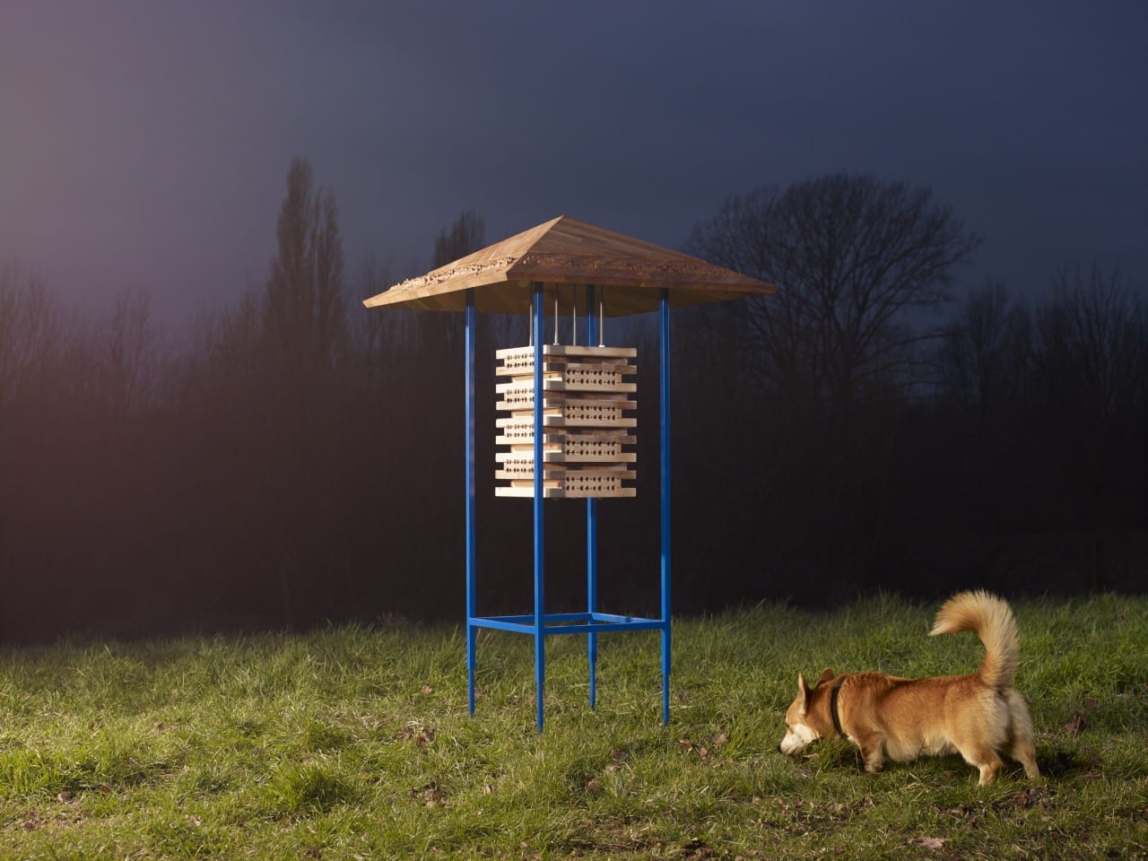 Ikea пригласила художников строить домики для животных