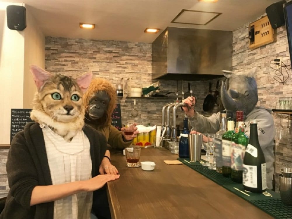 Стать котом: японская компания создает сверхреалистичные маски домашних любимцев