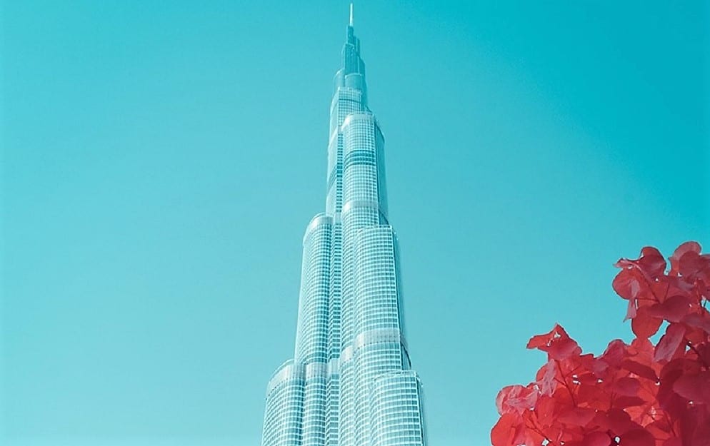 Инфракрасный Дубай: зеленые зоны в алых тонах