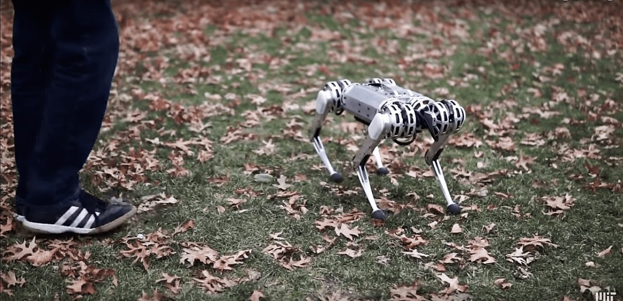 Четвероногий робот из MIT освоил обратное сальто