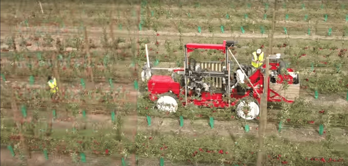 В Нидерландах запущен робот, засасывающий яблоки