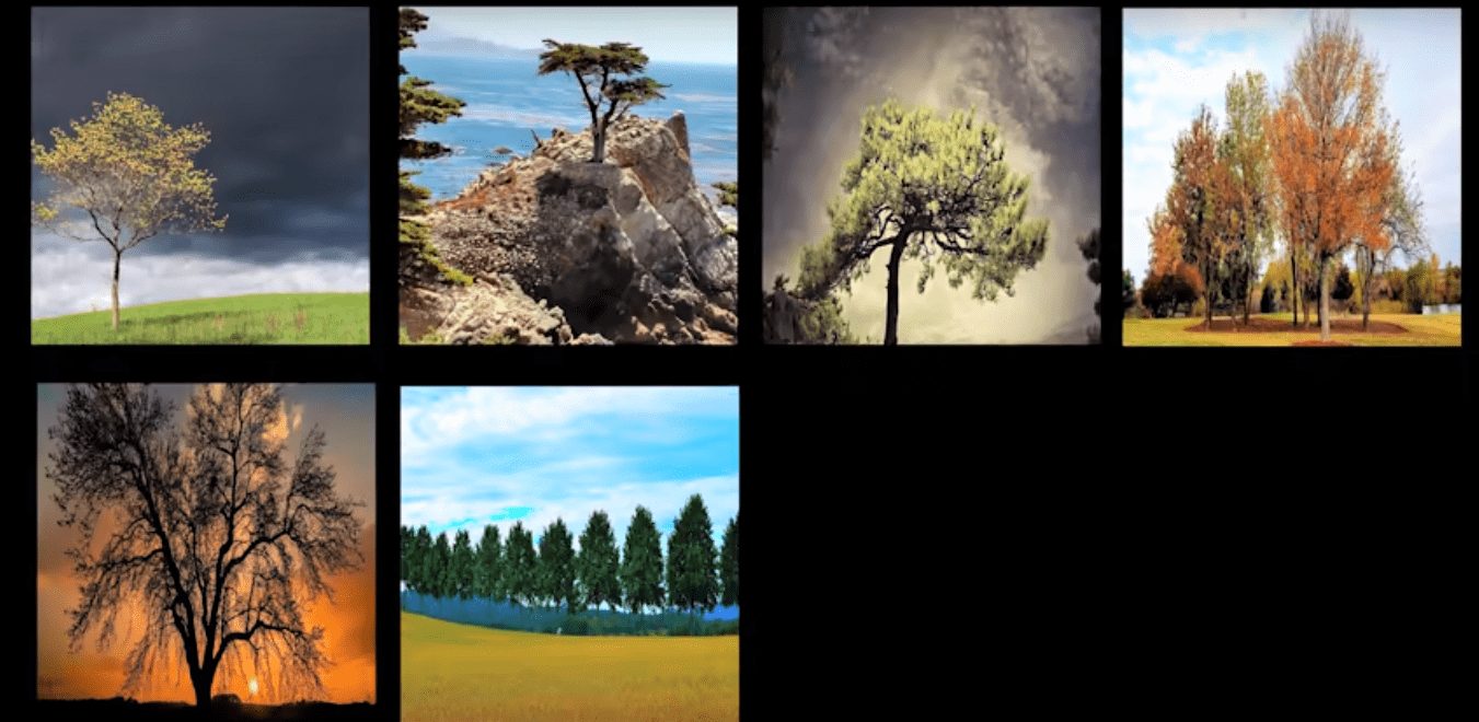 Нейросети NVIDIA превратили набросок в фотореалистичное изображение