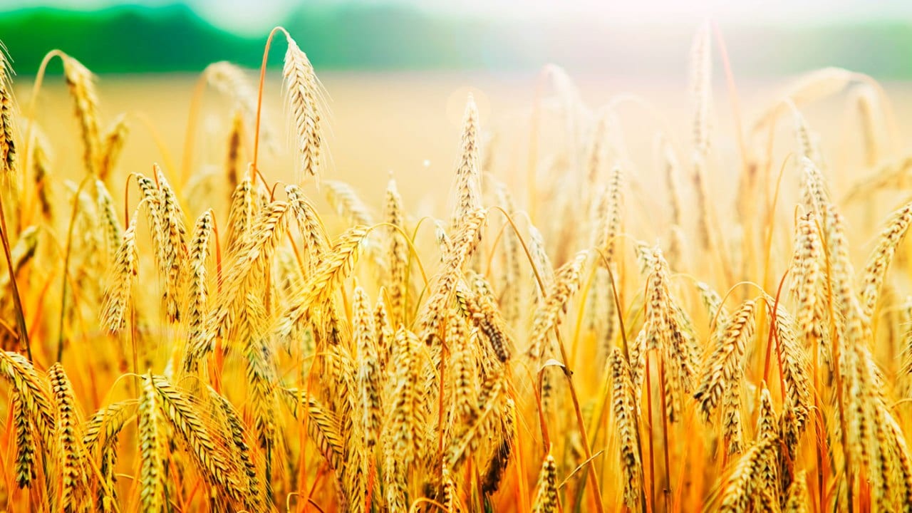 PR на аграрному ринку України: результати опитування