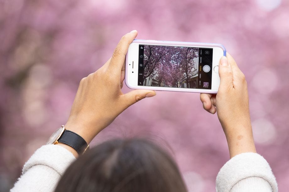 NASA просит публику фотографировать деревья на смартфоны