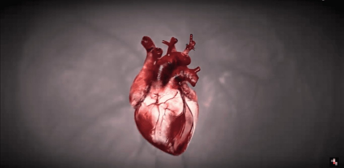 «Человеческое сердце. Нет в наличии»: Mediaplus и Plan.Net привлекли внимание к нехватке донорских органов