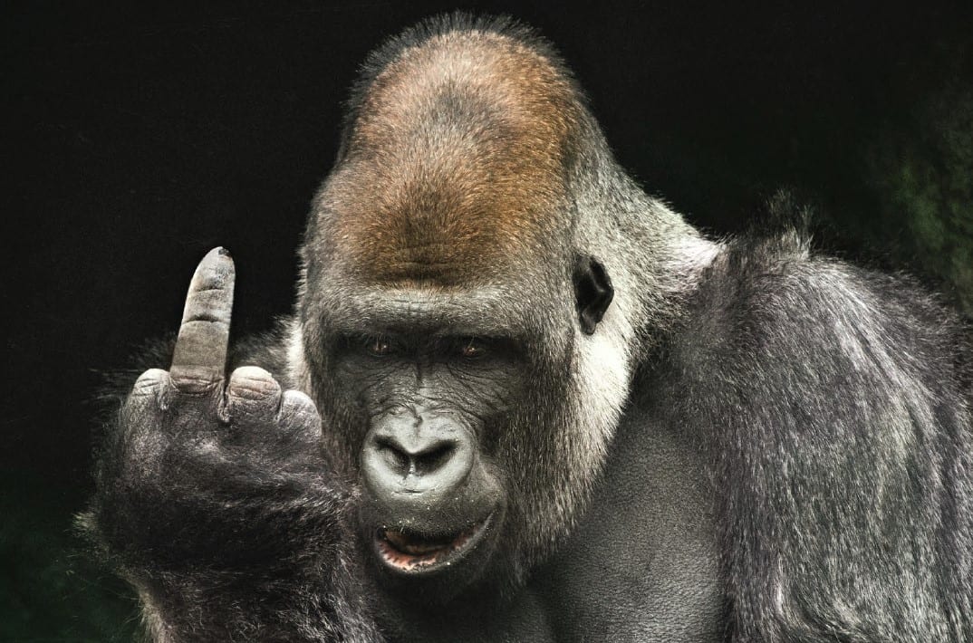 Fuck Humans! Жесткая социалка Greenpeace