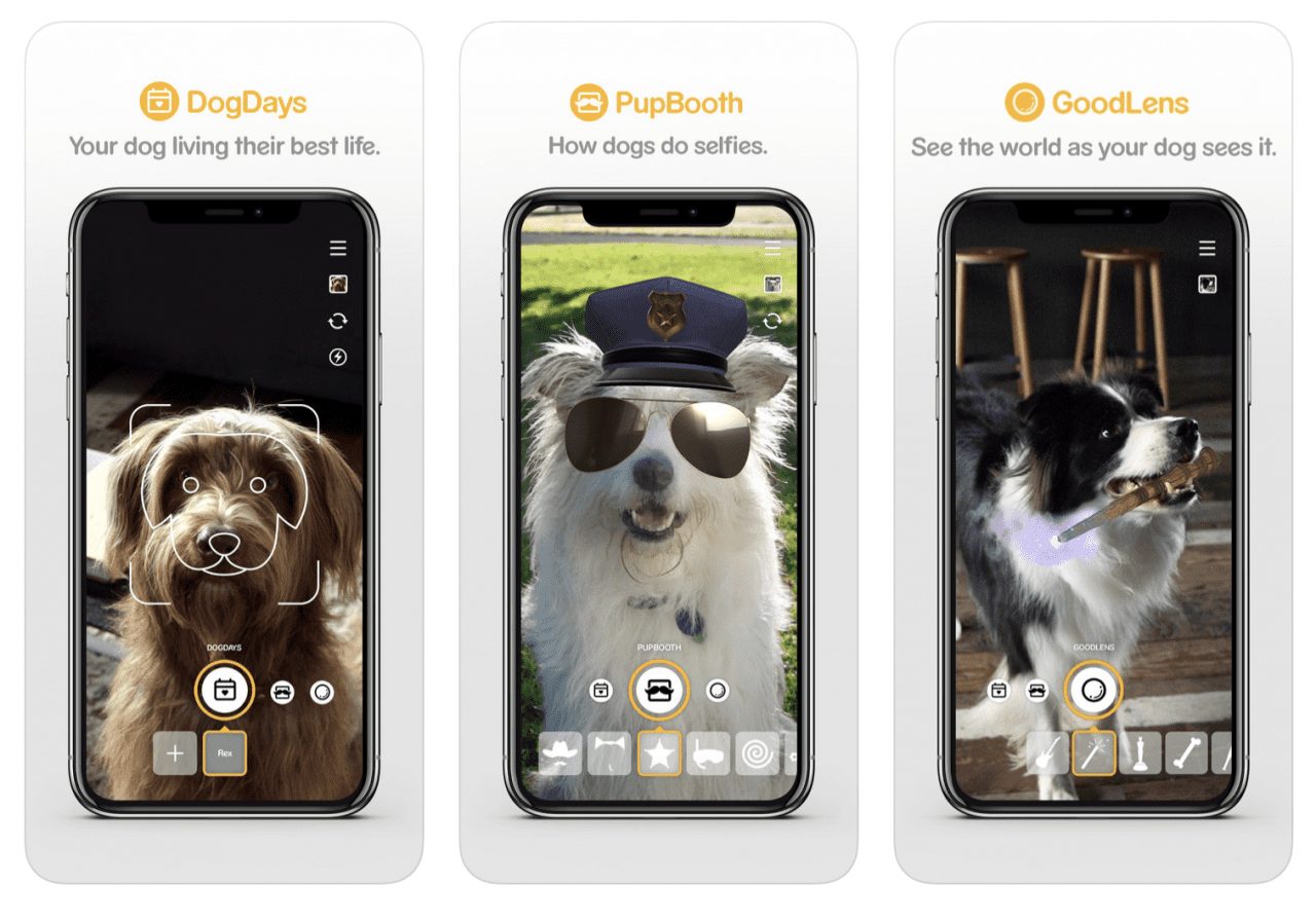 Pedigree разработал «snapchat для собак»