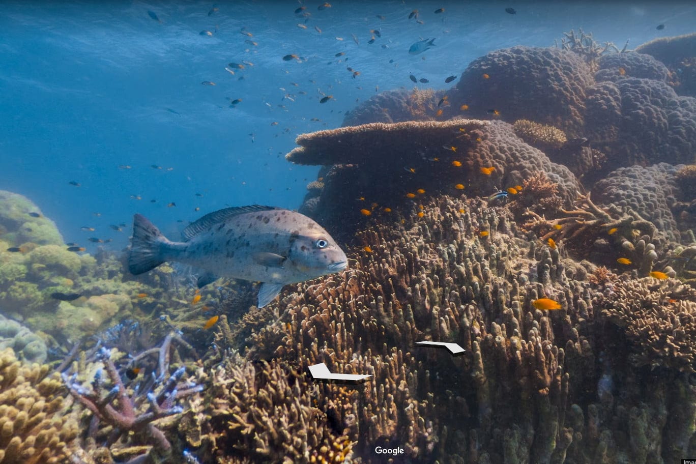 Просмотр (не)улиц под водой: Google добавила еще несколько подводных локаций