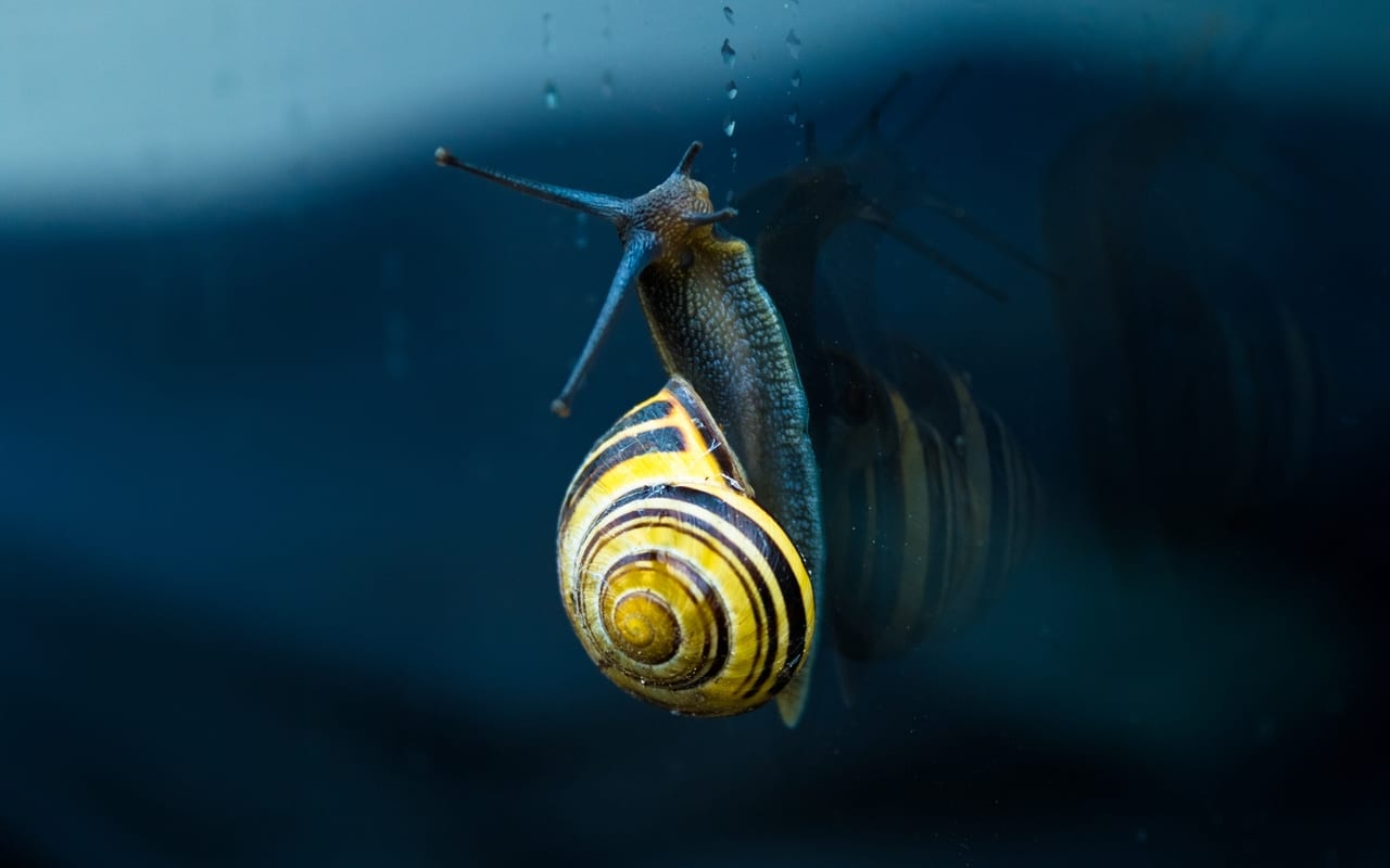 Создан клей, который можно в любой момент превращать из липкого в нелипкий