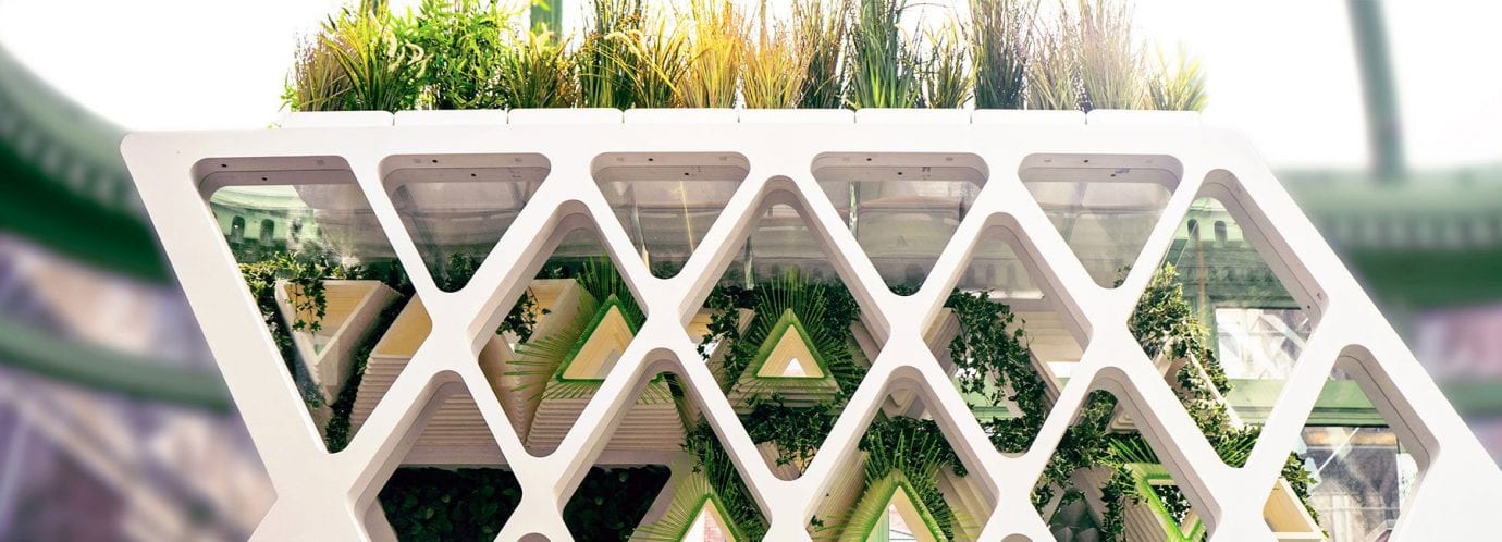 Офисное здание и заповедник для бабочек – вариант два в одном