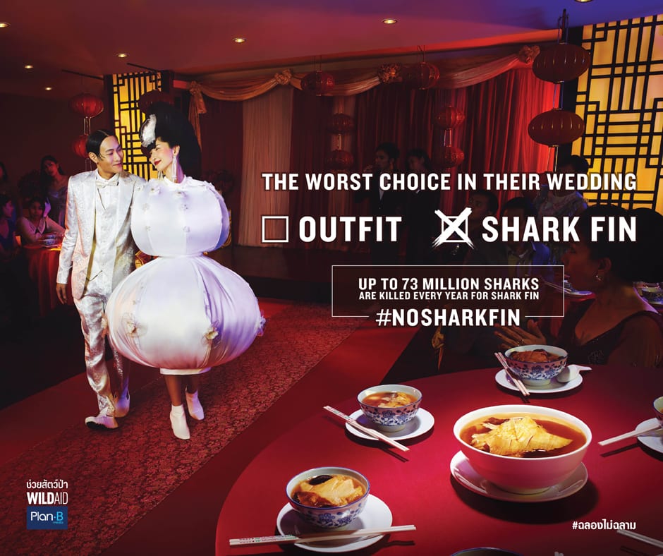 Импланты позволяют восстановить зрение, транслируя картинку прямо в мозг