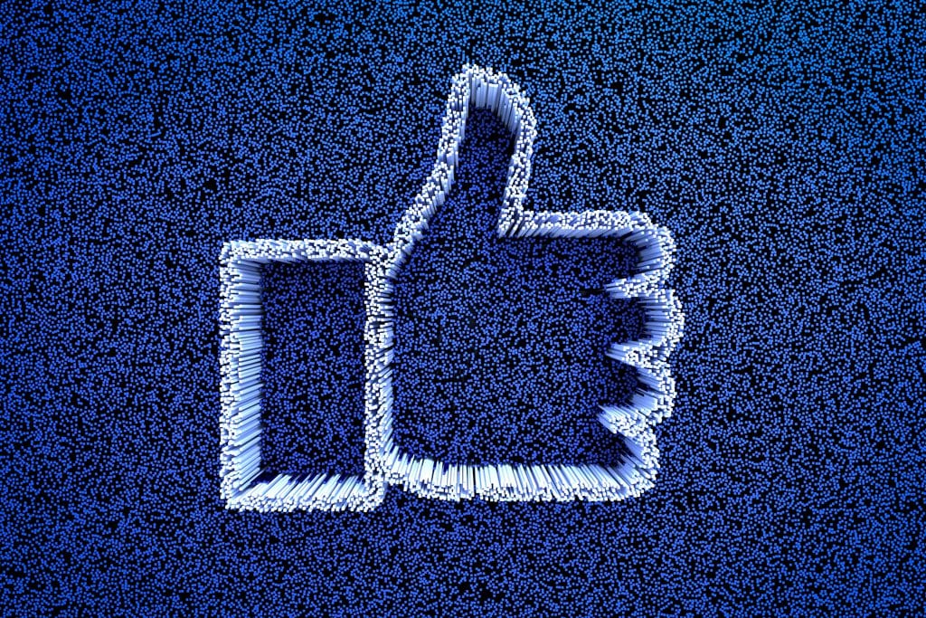 Ткани из водорослей, живых и не очень