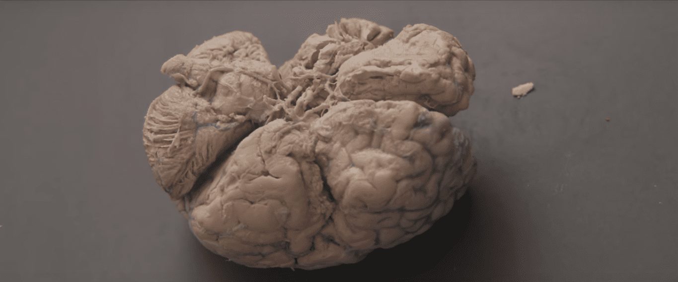 7 зрелищных фильмов о технологиях будущего