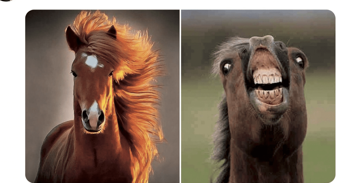 Twiiter рекламирует свою честность