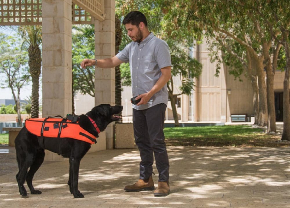 В Израиле сконструировали жилет для собак с виброкомандами
