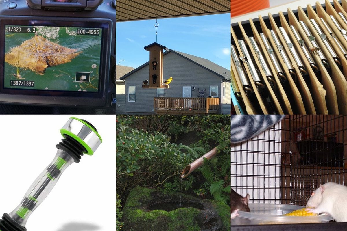 Если вы можете понять, что на этих картинках – вы умнее искина