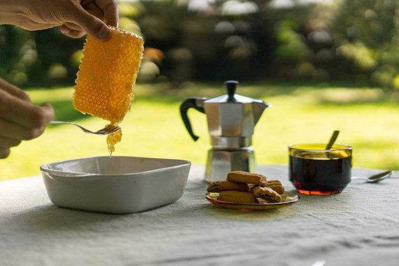 Компания Beeing предлагает держать пчел в качестве домашних питомцев