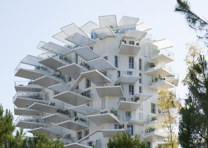 «Белое дерево» протягивает свои листья-балконы к солнцу