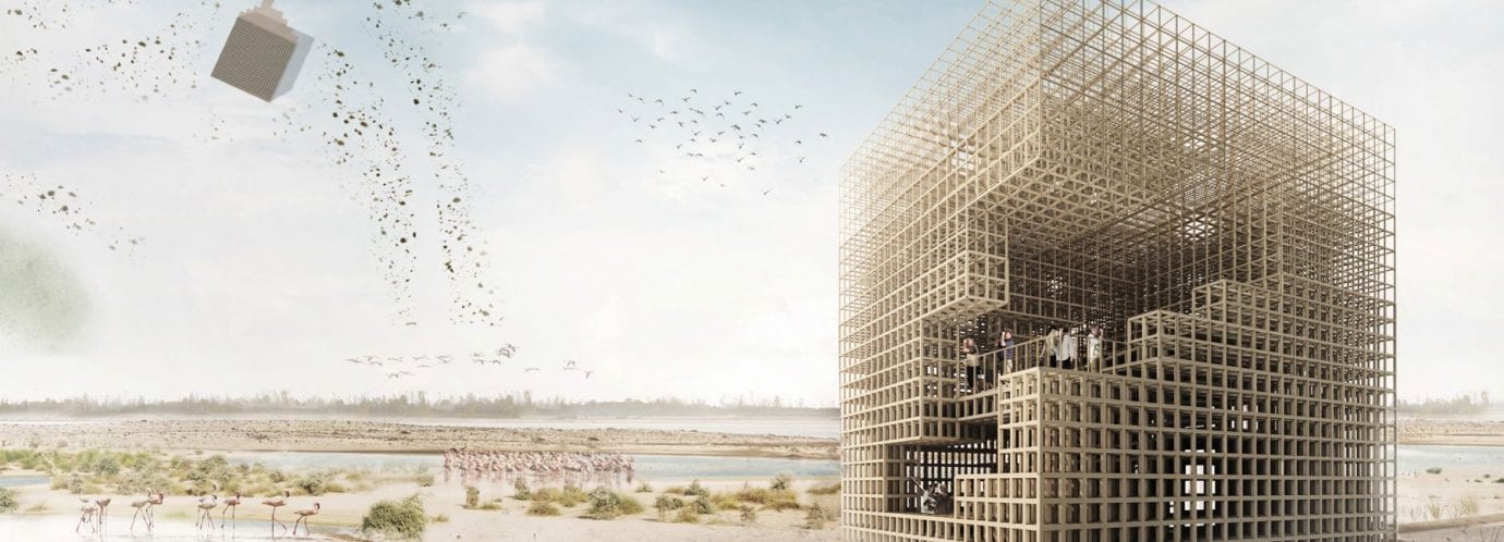 Как может выглядеть площадка для наблюдения за птицами? Три проекта из Абу-Даби