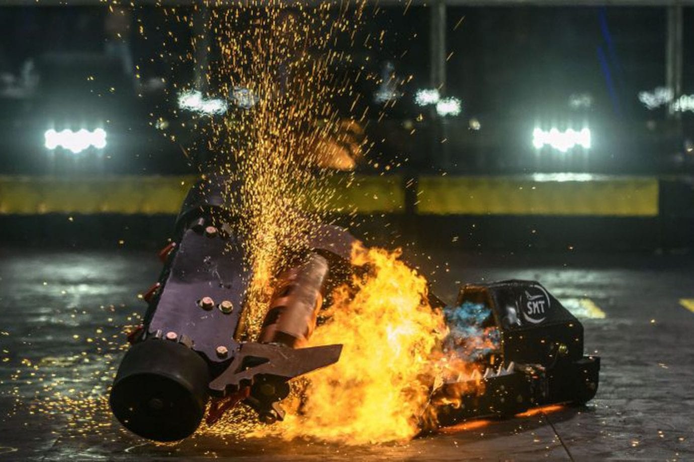 Суровые модераторы YouTube не прочь уравнять роботов в правах… с животными