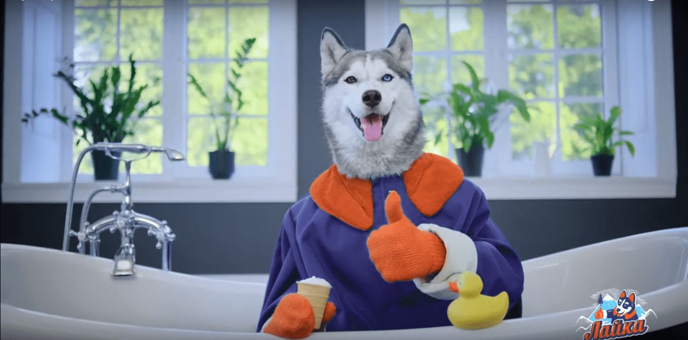 Лайк, “Лайка”!