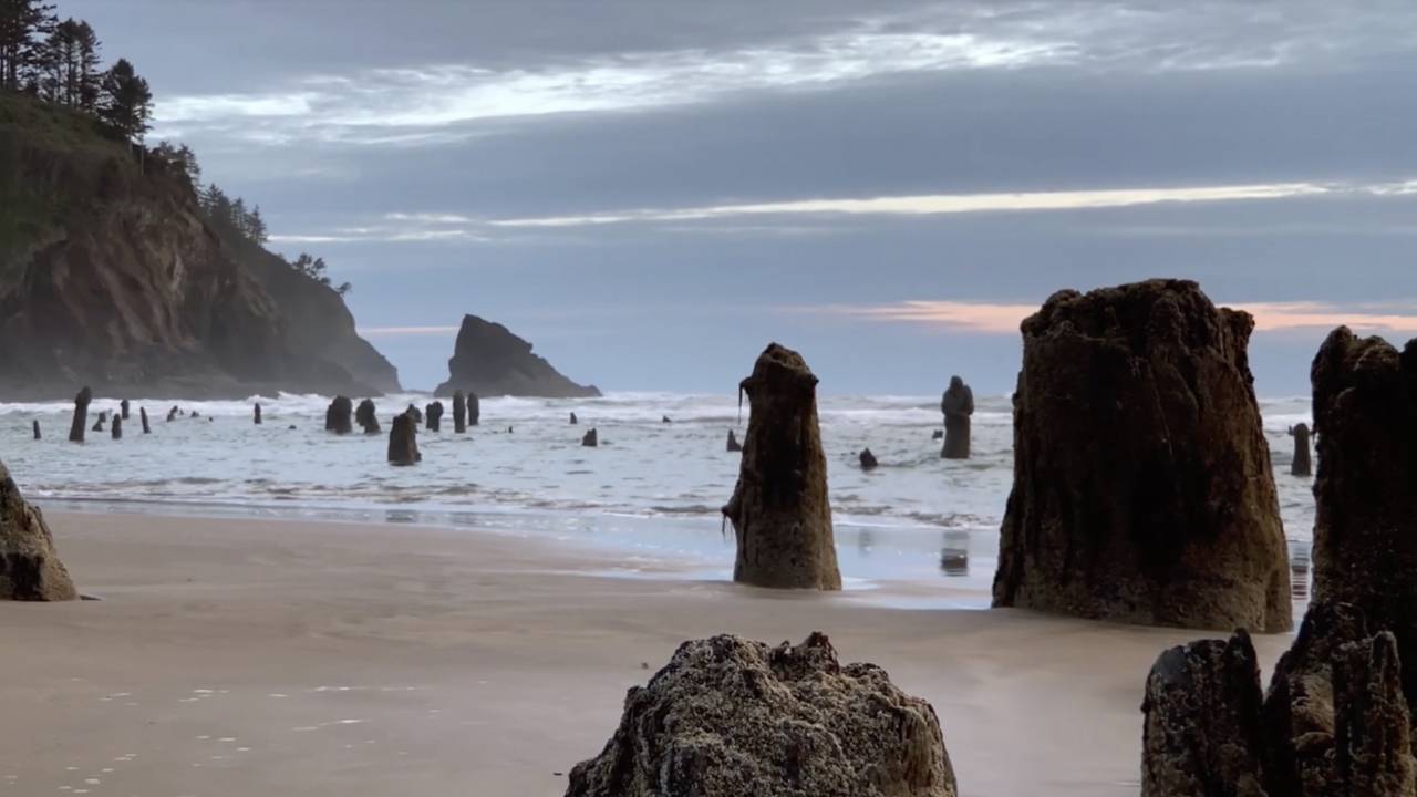 В поисках релакса: Apple выпустил серию ASMR-видео, снятых на iPhone