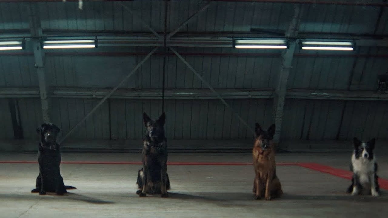 Архитектор Стефано Боэри озеленит новую столицу Египта