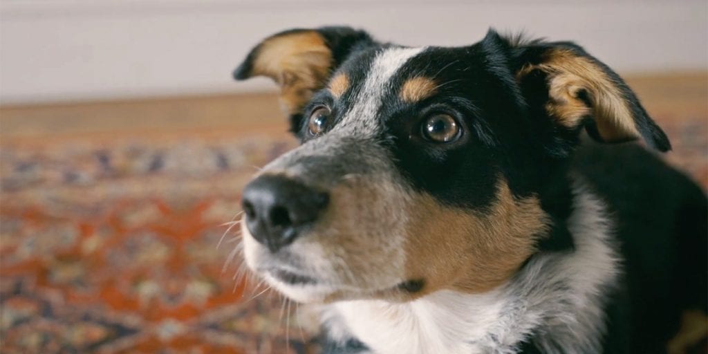 «Ниточные» картины художницы и программиста