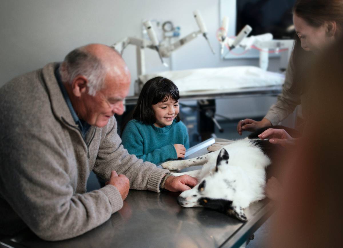 Искусственный снег для Олимпиады в Токио: неудачная репетиция