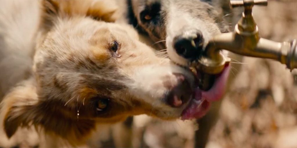 «Смотреть» руками: перчатка-сенсор для слепых