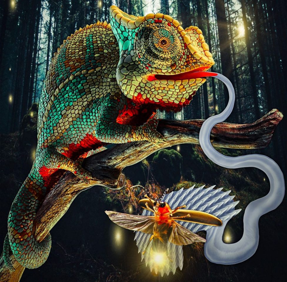 Робот-мухолов со скоростью реакции, как у хамелеона