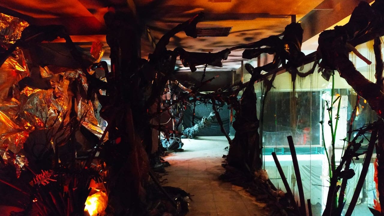 Пластикове занурення: у Києві відбулась презентація виставки «Wrapped in Plastic»