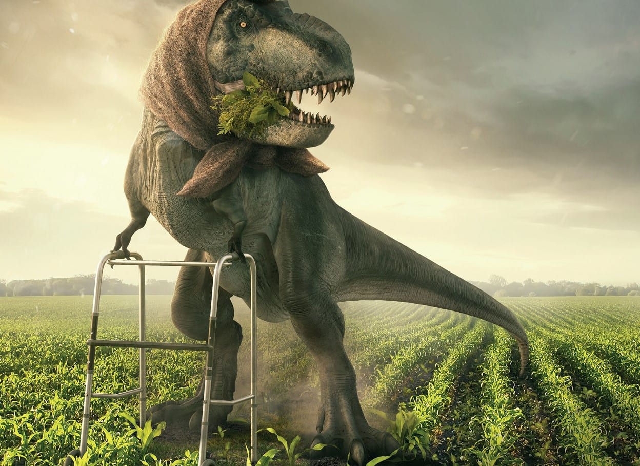 UPL Україна* запустили рекламну кампанію нового гербіциду Віжн® Ідею розробили в Michurin.