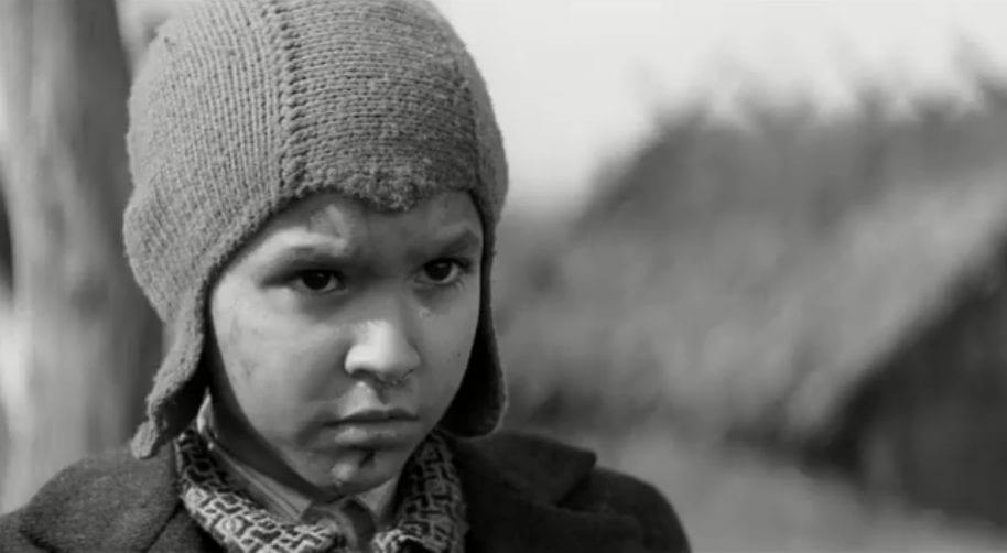 Створена за підтримки Держкіно стрічка «Пофарбоване пташеня» увійшла до шорт-листа претендентів на «Оскар»