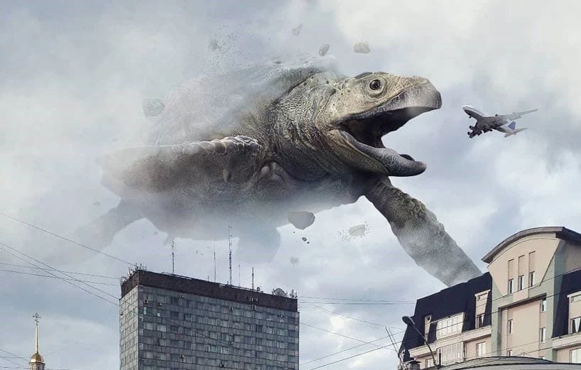 Творчість на карантині: велетенські тварини та крихітні інтер’єри