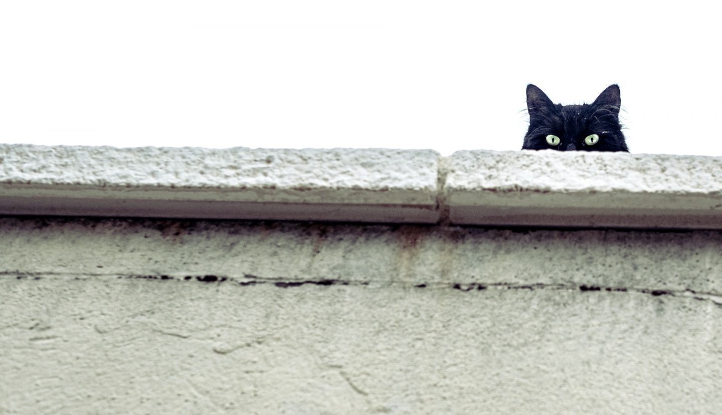 Не бійтесь використовувати «не» і ще 5 рекламних забобонів, яких давно час позбутися