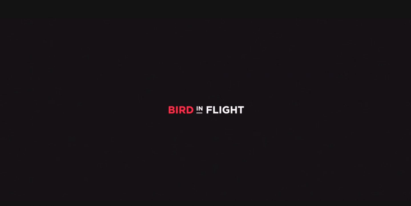 Розпочався прийом заявок на конкурс новаторської фотографії Bird in Flight Prize ’20