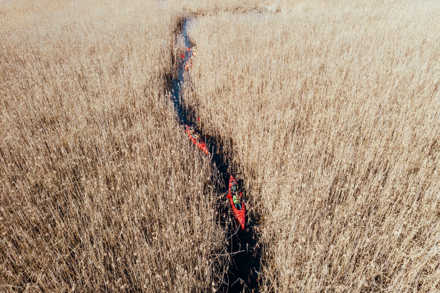 Проєкт Depositphotos отримав три престижні міжнародні нагороди за дизайн