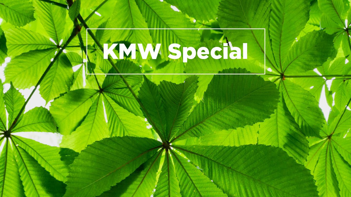 KMW Special та USAID презентують дискусію «Новини, фейки, маніпуляції, а також місце позитивної інформації в інформаційних програмах»