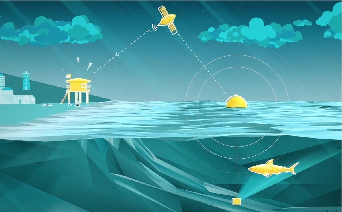 Шість прикладів інноваційного маркетингу телекомунікаційних компаній