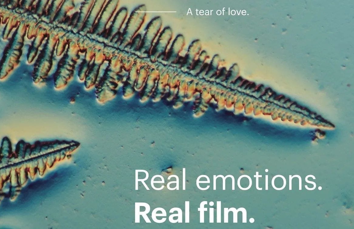 Кінофестиваль IDFA розглянув сльози під мікроскопом