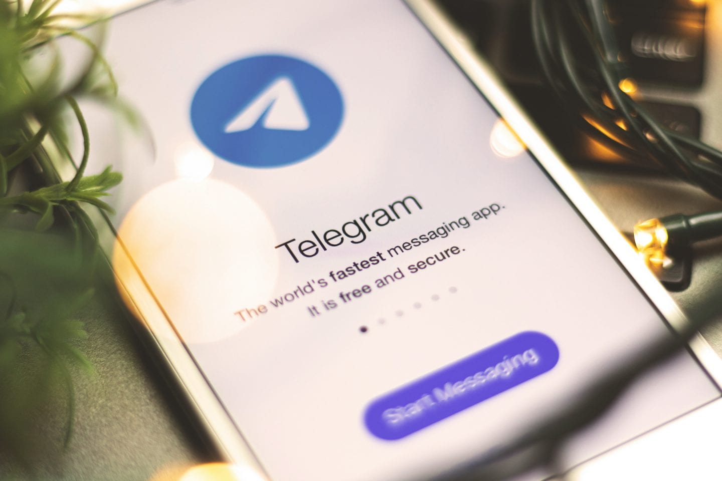 Depositphotos запустив Telegram-бот для зручного і швидкого пошуку контенту 