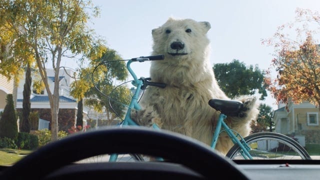 З мамою-ведмедицею жарти погані: IKEA нагадує про екологічно свідому поведінку