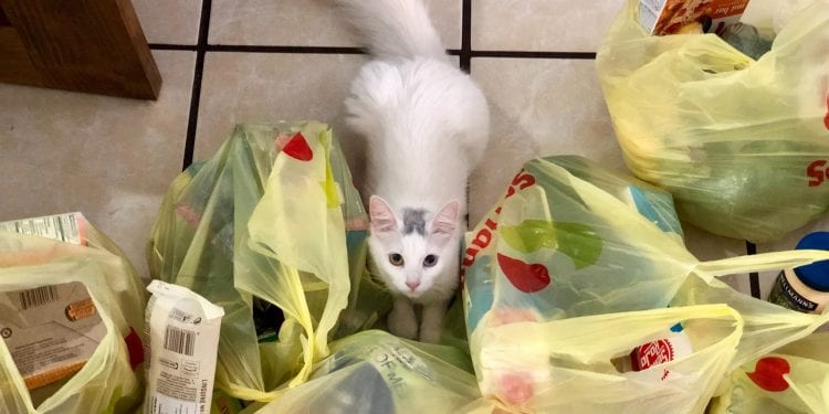 Верховна Рада заборонила в Україні пластикові пакети