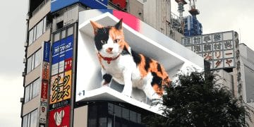 На білборді у Токіо з’явився гігантський 3D-кіт