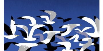 Сергій Майдуков та House of Europe створили «Постер міста Миколаїв»