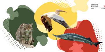 На Одещині знімають «Червоні рюкзаки» — дитячий проєкт про рідкісних тварин дельти Дунаю