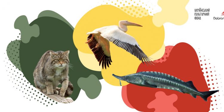 На Одещині знімають «Червоні рюкзаки» — дитячий проєкт про рідкісних тварин дельти Дунаю