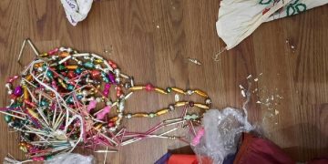 Як врятувати «Древо». Суспільство закликають допомогти приватному музею