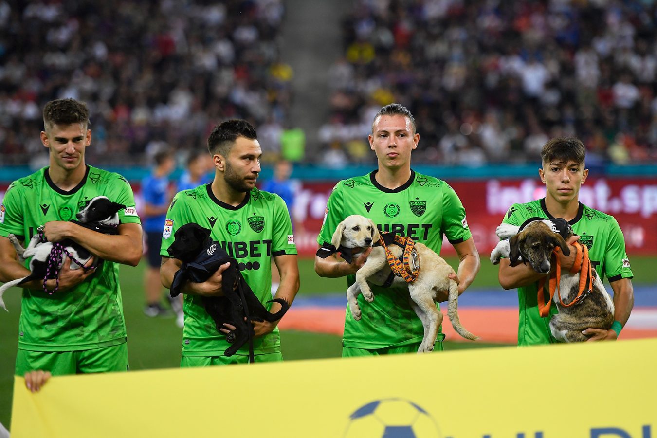 У Румунії футболісти вийшли на поле з бездомними собаками